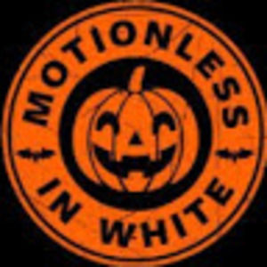 Meet your Posher, Toby